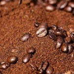 fat burner ingredient caffeine